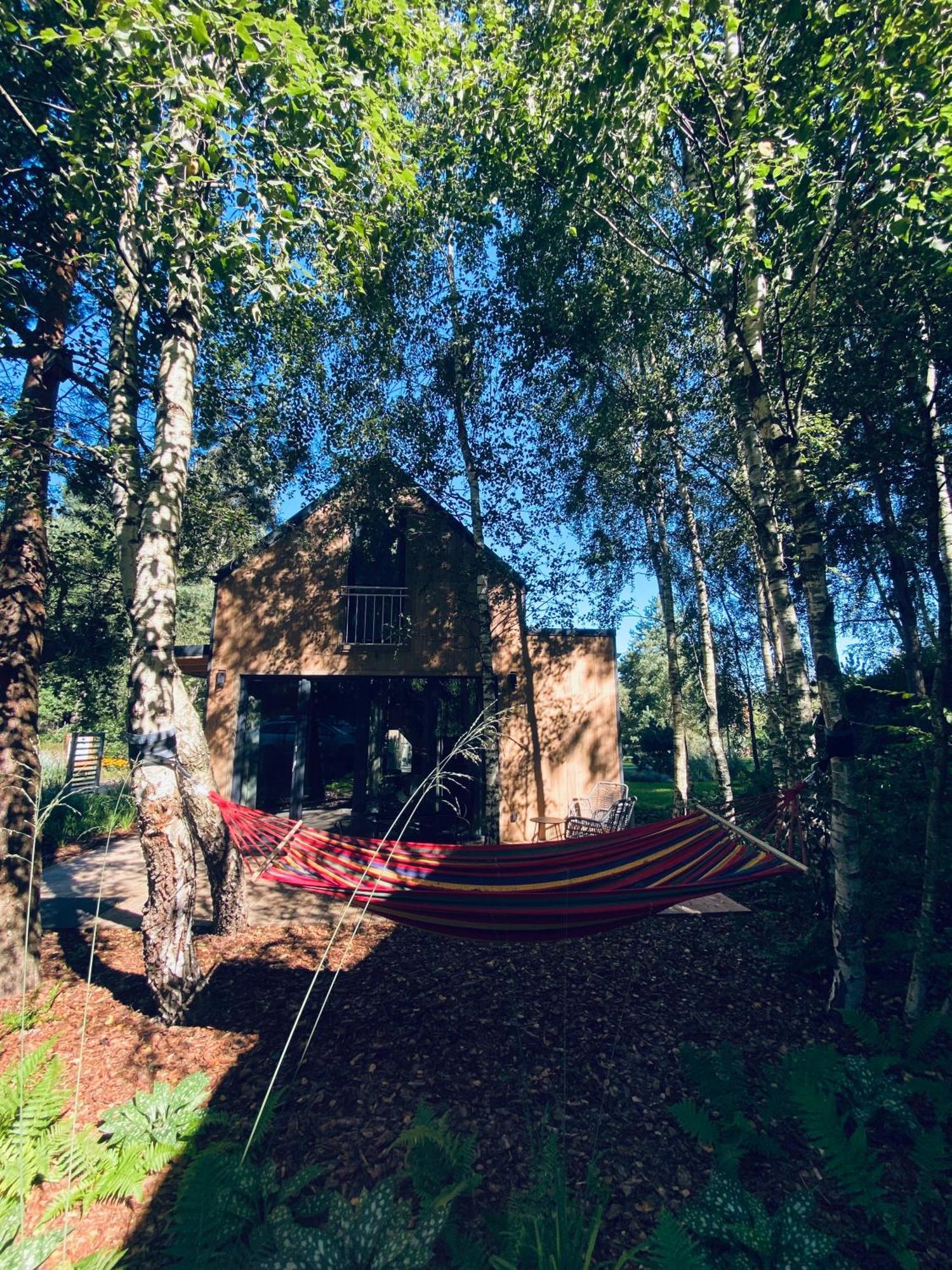 Miedzy Brzozami / Domy W Lesie Ciekocino Exterior photo